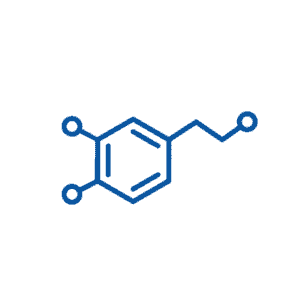 Hormones 1 1