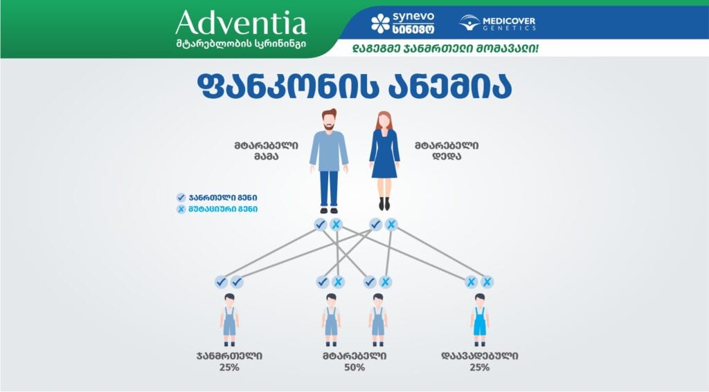 adventia s